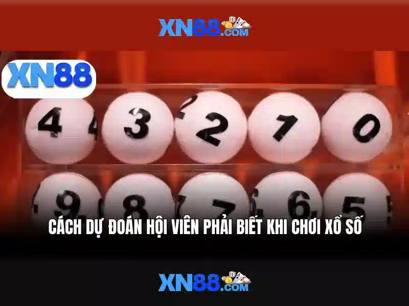 Giao diện thân thiện và dễ sử dụng của XN88