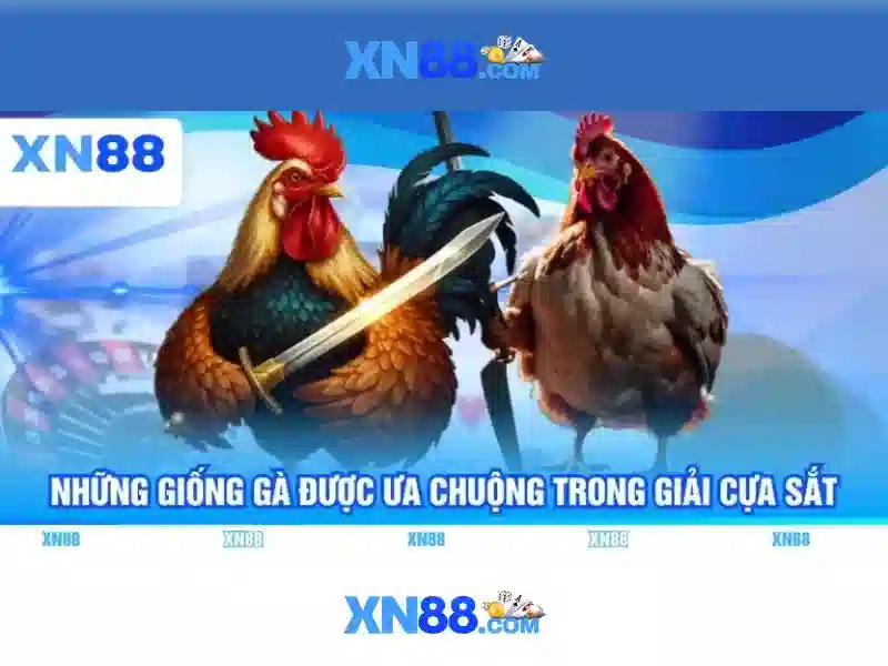 XN88 – Nền Tảng Slot Đa Dạng