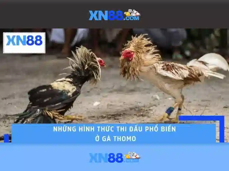XN88 – Tính Năng An Toàn Và Trải Nghiệm Slot Đỉnh Cao 2026