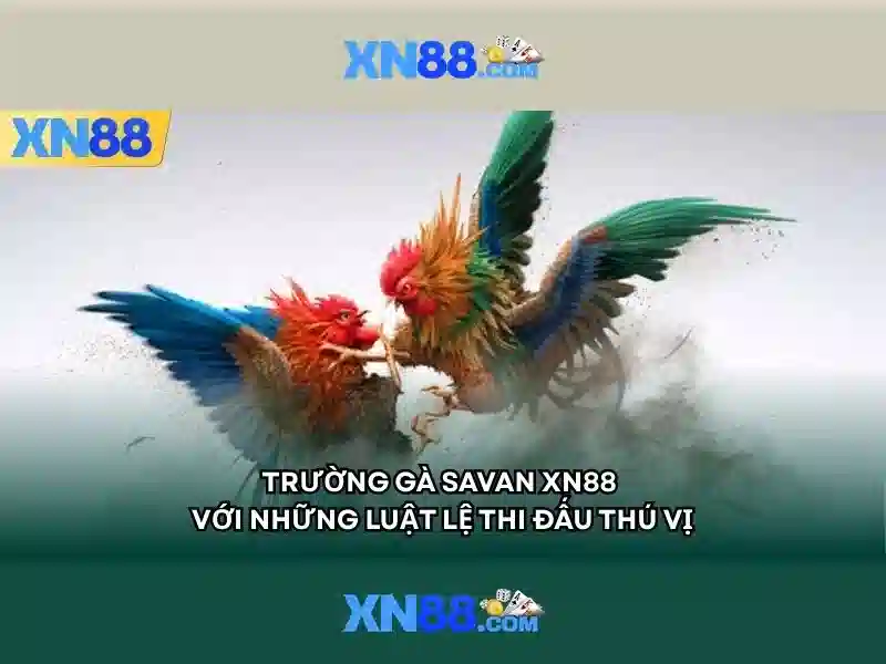Giao diện ứng dụng XN88 trên Google Play
