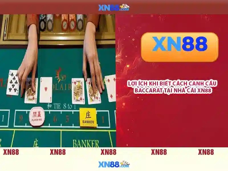 XN88 – Trang Chủ Slot Đa Dạng