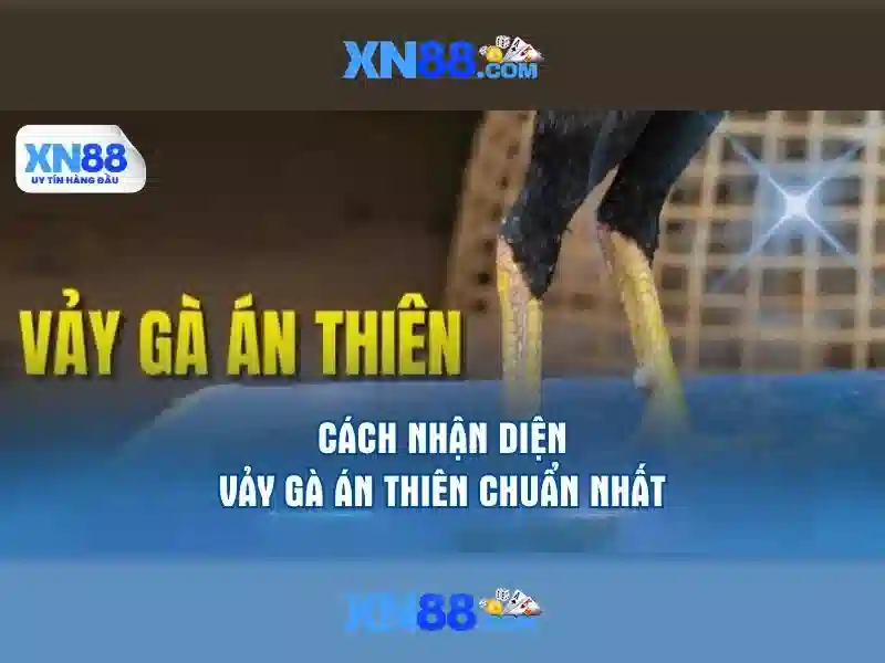 XN88 – Trải Nghiệm Casino Đỉnh Cao
