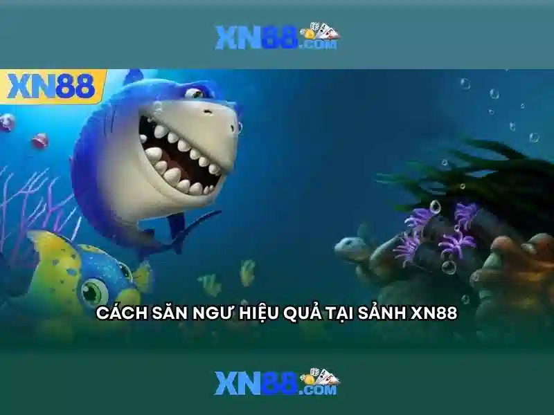 XN88 BSHRF