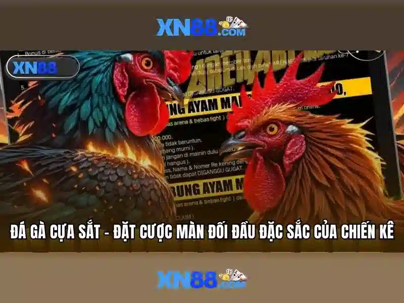 Khuyến Mãi XN88 Gaming