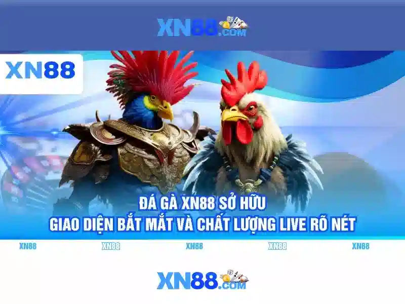Nhận Thưởng Bshrf