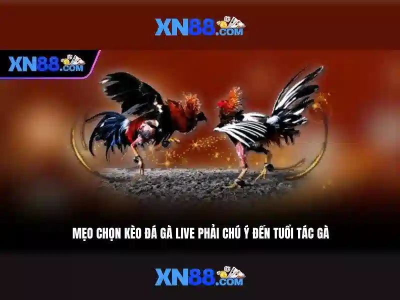 Khuyến Mãi Slot