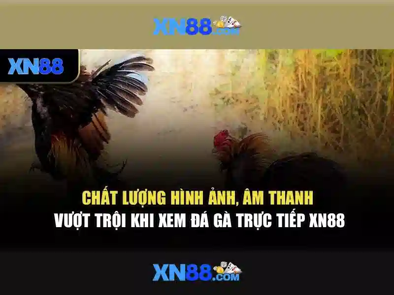 Slot XN88
