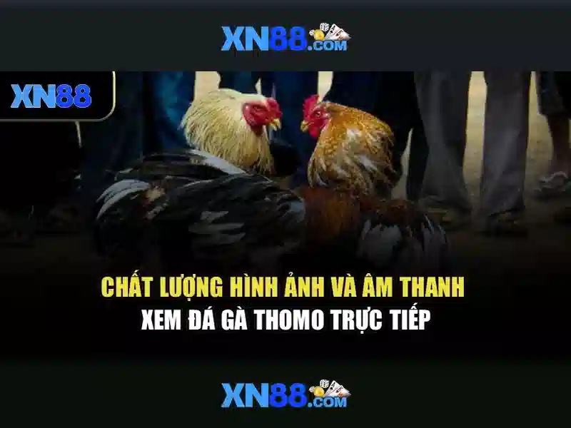 Thưởng hấp dẫn XN88