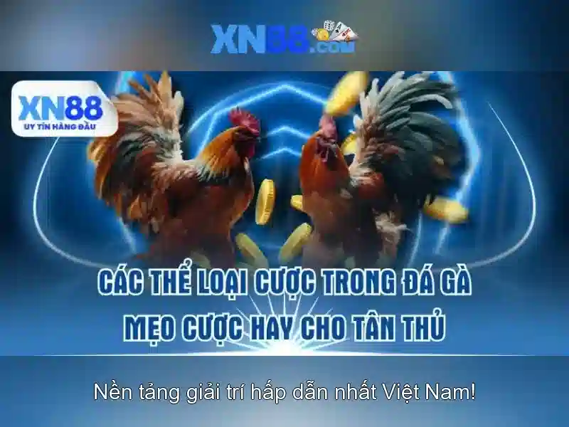 Đôi Nét Về XN88