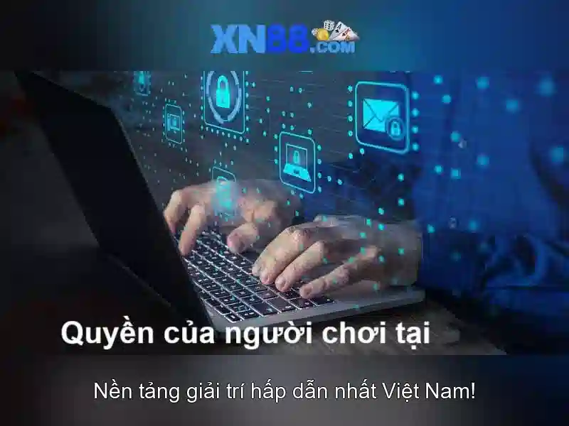 XN88 BSHRF