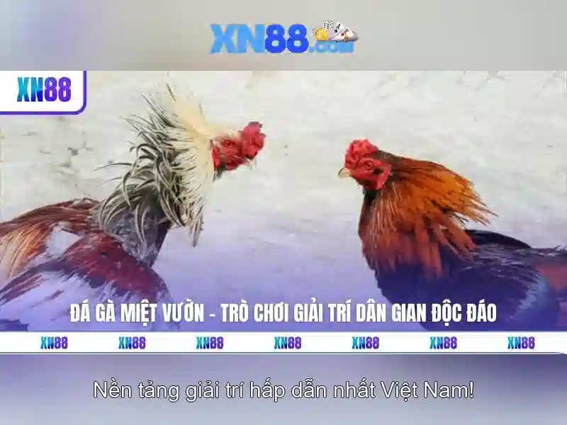 XN88 slot