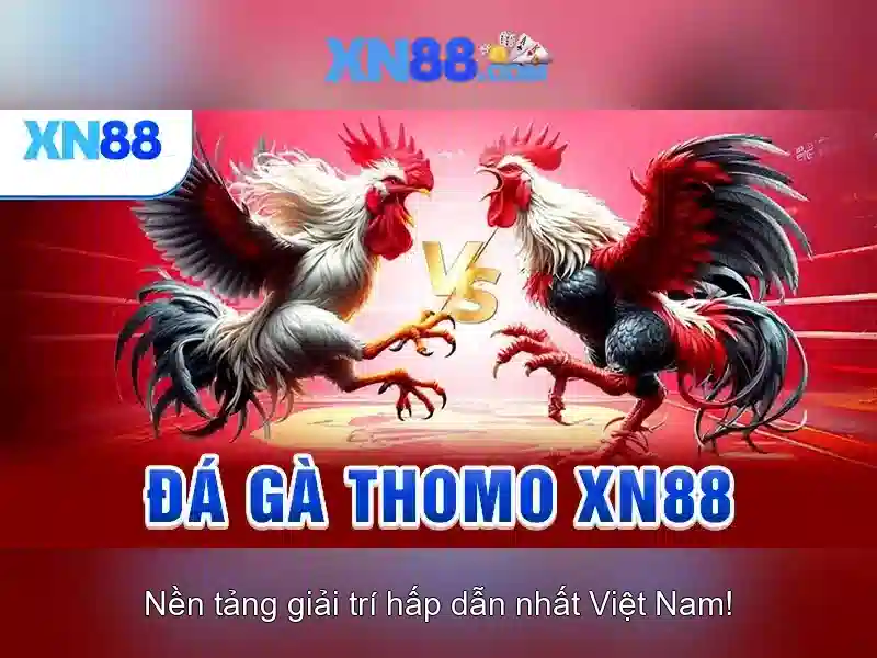 XN88 Slot đỉnh cao 2026