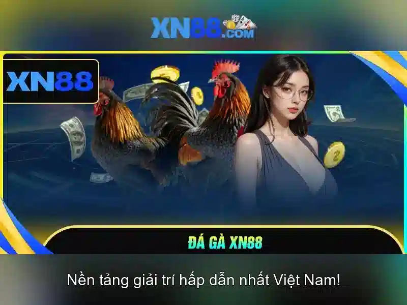 Giấy phép hoạt động hợp pháp của XN88