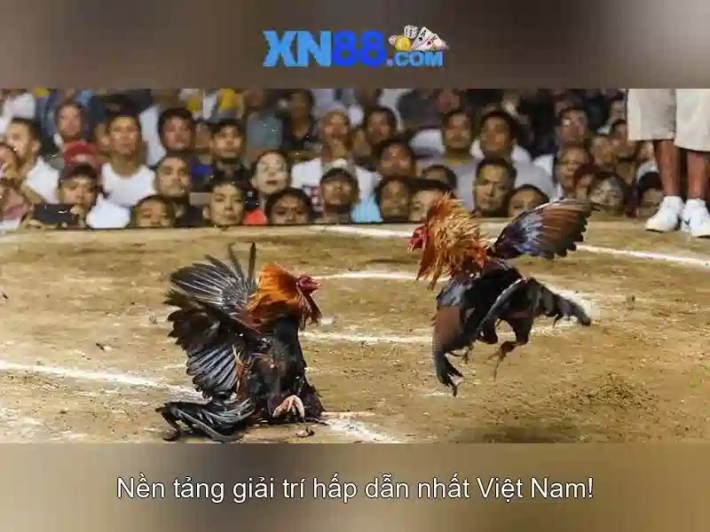 Đăng Ký Tài Khoản XN88 – Bước Đầu Tiên