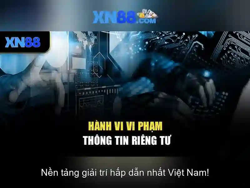 Hướng dẫn kiểm tra giấy phép XN88