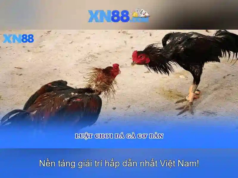 Ưu Điểm Của Ứng Dụng XN88 App