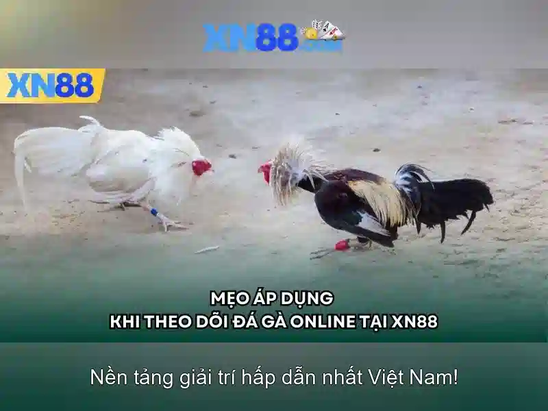 Tải app XN88 cho điện thoại Android & IOS