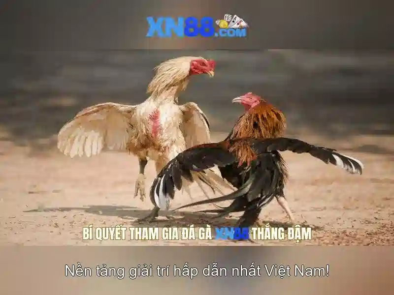 Thủ Tục Đăng Ký Nhanh Chóng