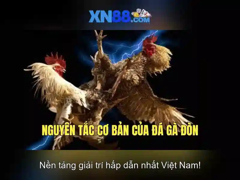 Hệ thống trò chơi SLOT tại XN88