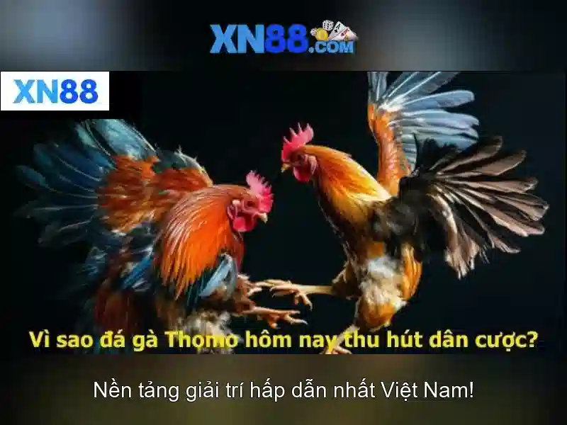 Đa Dạng Game Slot