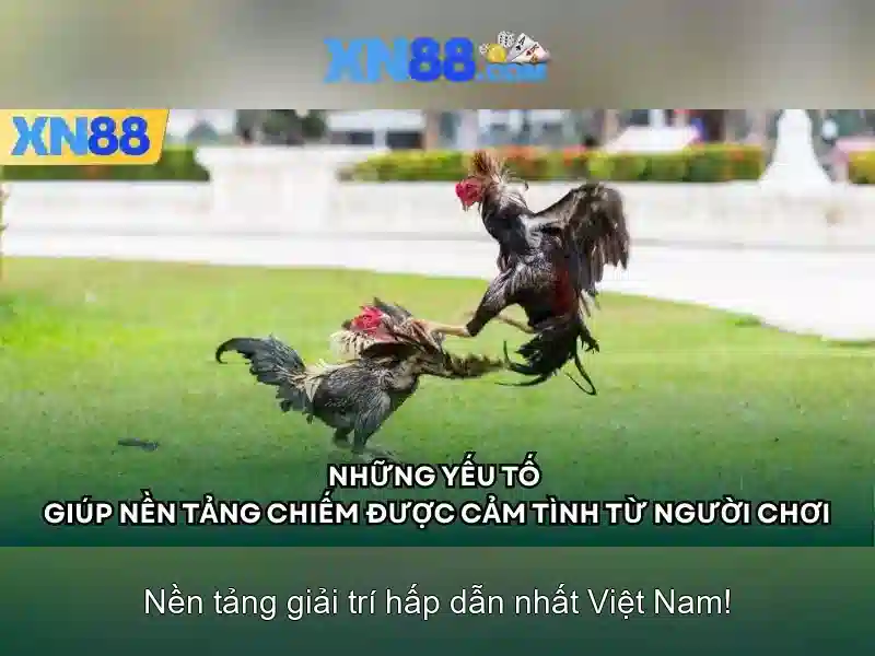Tải App XN88