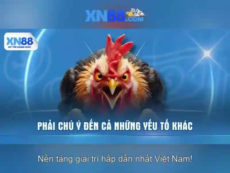 Điều Kiện Chơi Game SLOT Tại XN88 Win
