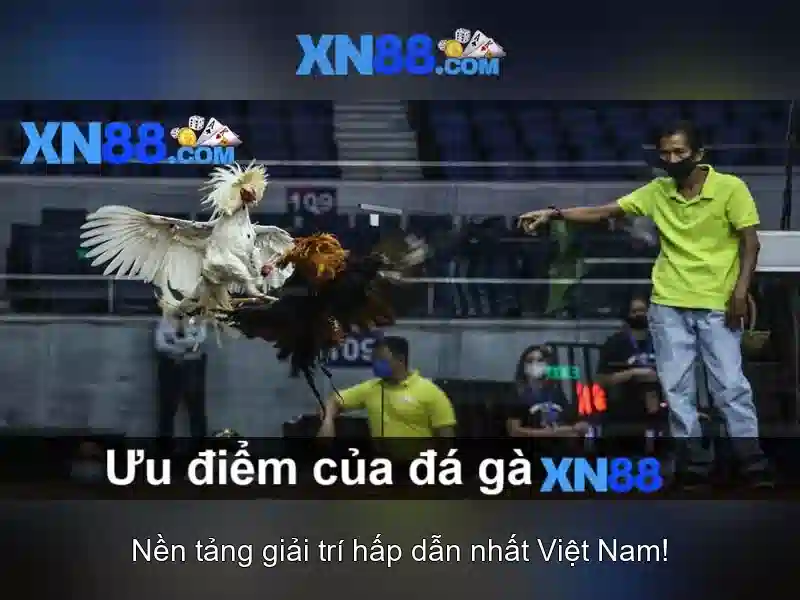 Khuyến mãi độc quyền