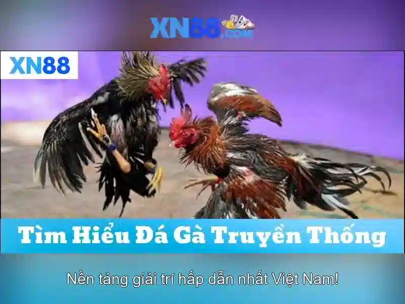 XN88 Đăng Nhập