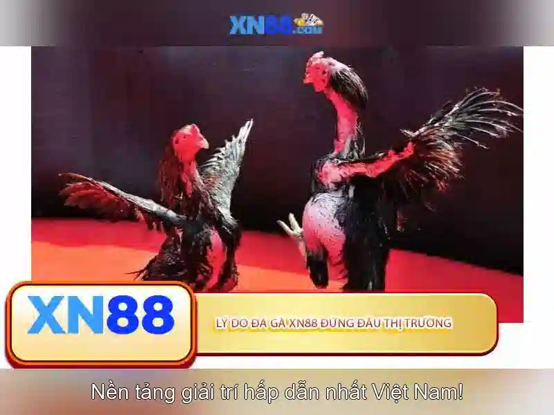 XN88 – Trải Nghiệm Slot Đỉnh Cao