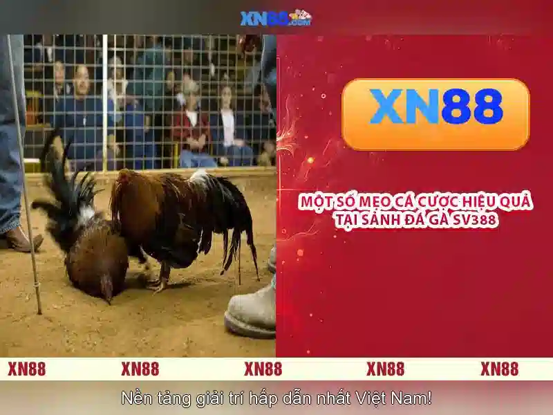Đa Dạng Thể Loại SLOT Tại XN88